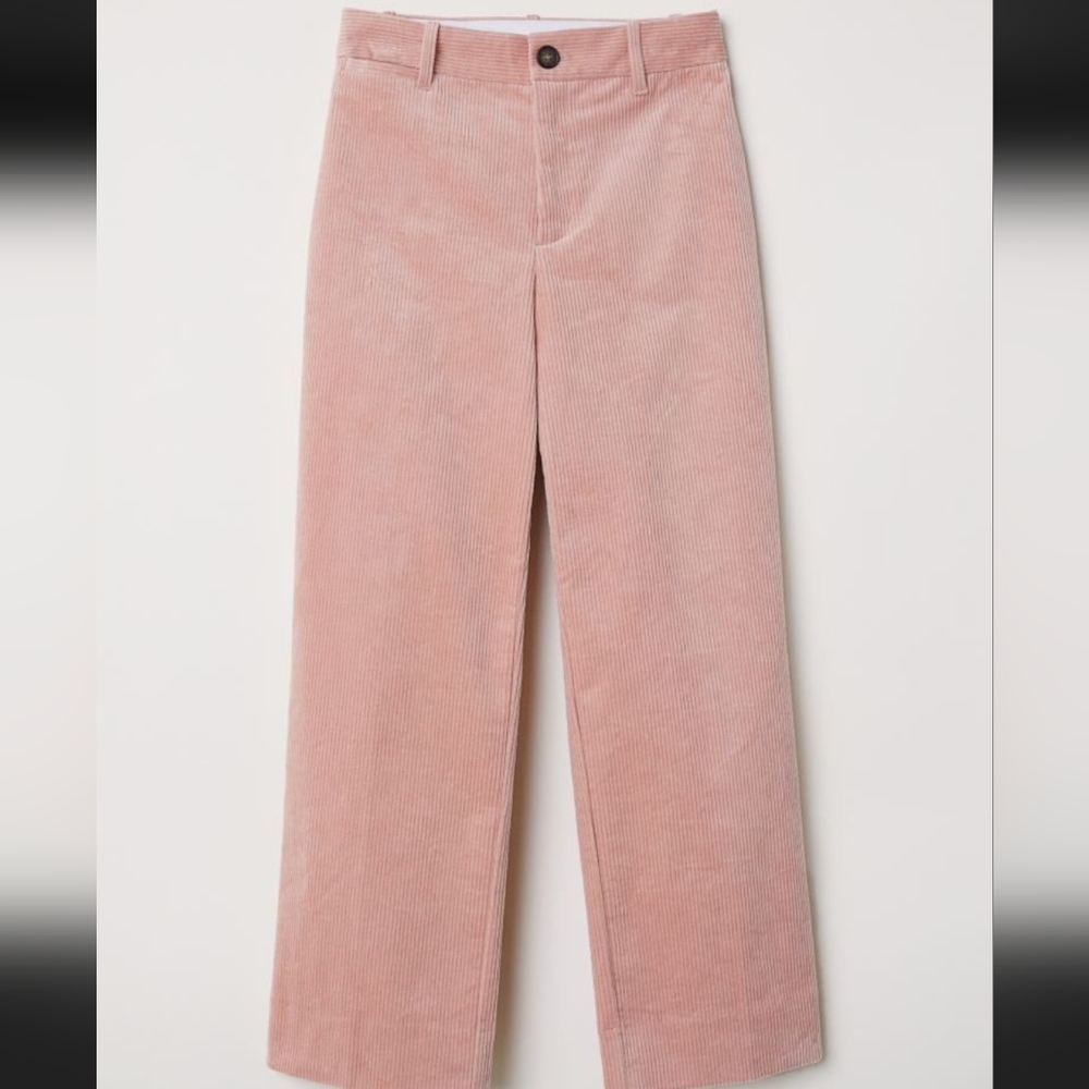 EVERLANE The Corduroy Wide-Leg Straight Pant